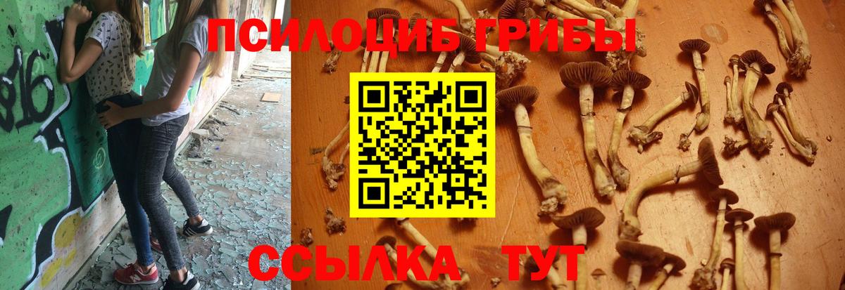 Псилоцибиновые грибы Magic Shrooms  Вход с VPN  цена наркотик  Сарапул 